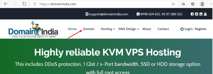 domainindia.com